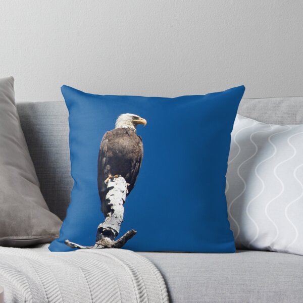Item preview, Bald Eagle    #2698 designed and sold by JL Woody Wooden.