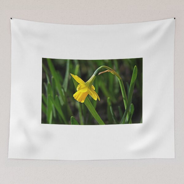 Item preview, Tete s Tete Daffodil designed and sold by Dorset Girl.