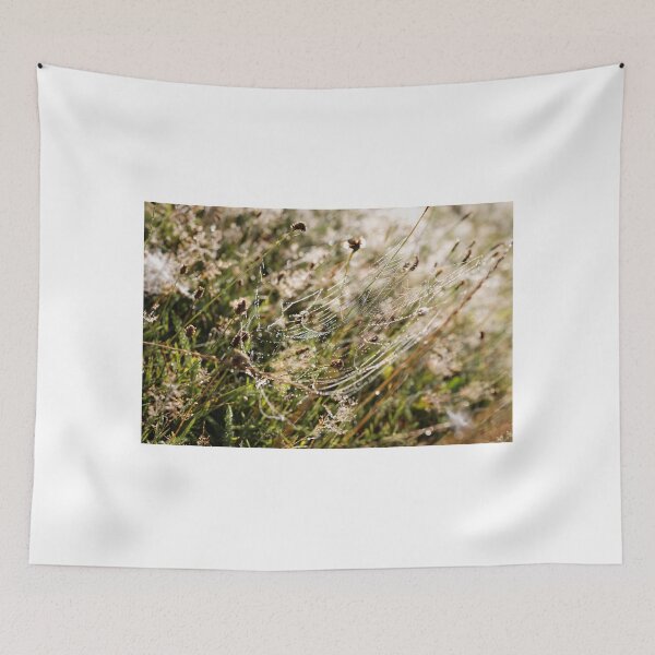 Item preview, Spider web designed and sold by Claraveritas.