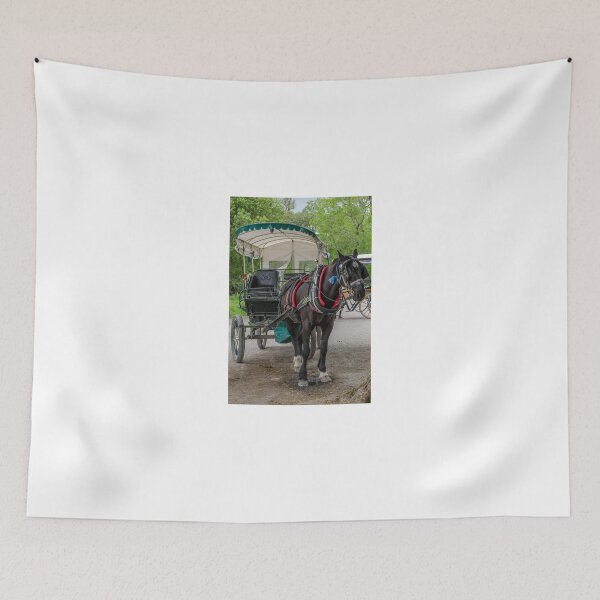 Item preview, Horse  & Cart  designed and sold by Martina Fagan.