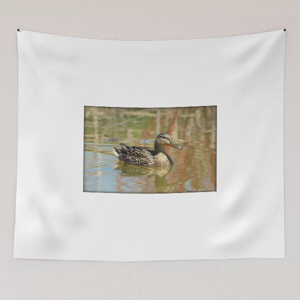 Item preview, Female Mallard Duck in Pond designed and sold by anitahiltz.