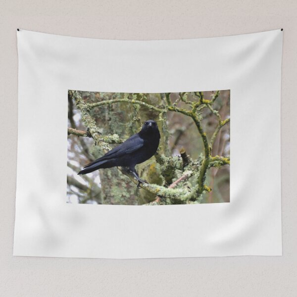Item preview, Crow on a Winter Tree.....Sidmouth Devon UK designed and sold by lynn carter.