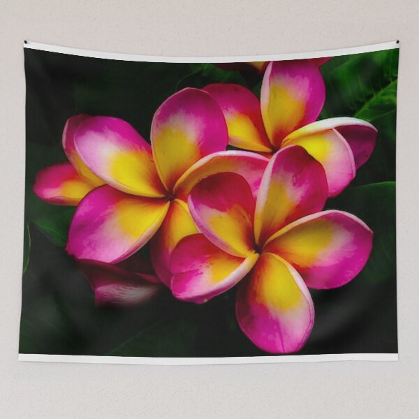 Item preview, Plumeria Flower designed and sold by ADM  Photography.