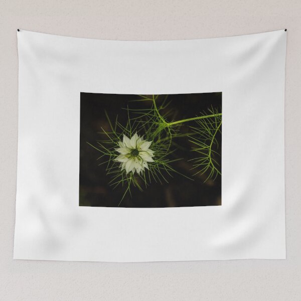 Item preview, Nutmeg Flower 2 designed and sold by mcstory.