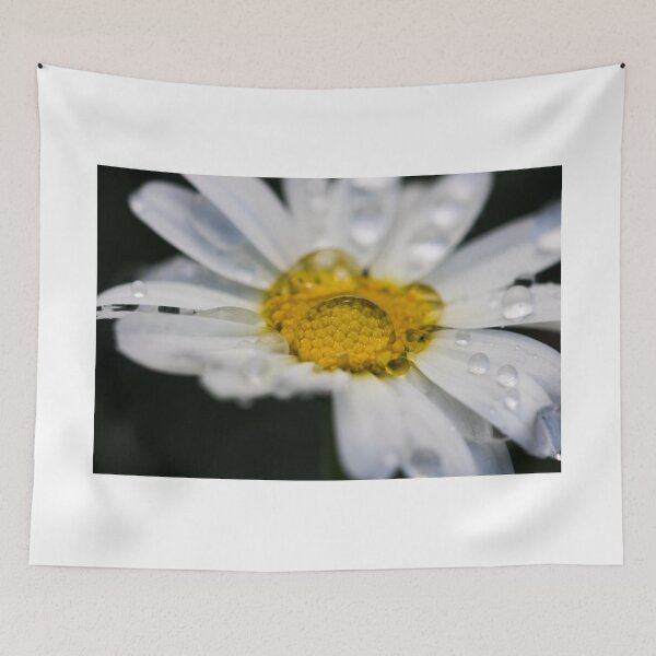 Item preview, Natural lens designed and sold by Antonio Pizarro Mendez.