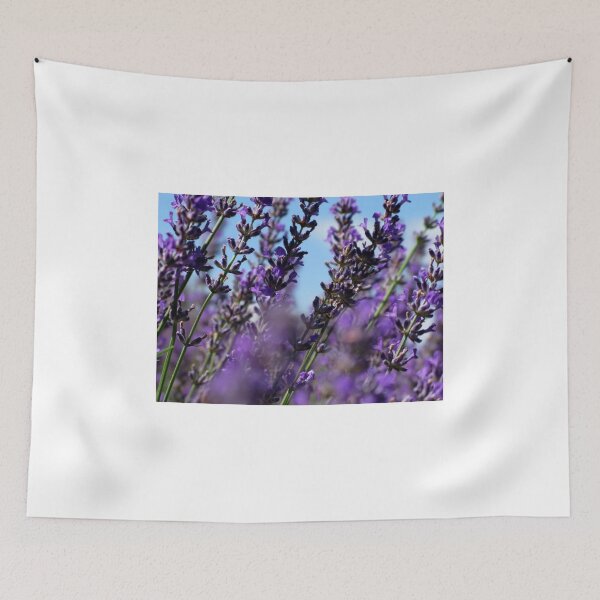 Item preview, Snowy River Lavender Under Blue Sky designed and sold by Sharon Goldsworthy.