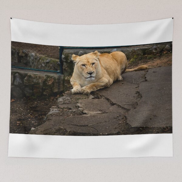 Item preview, Lion designed and sold by Srdjan Petrovic.