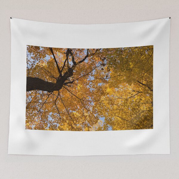 Item preview, Golden Canopy - Twisted Tree Trunk Horizontal designed and sold by Georgia Mizuleva.
