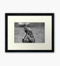 Look Like A Chook Framed Print