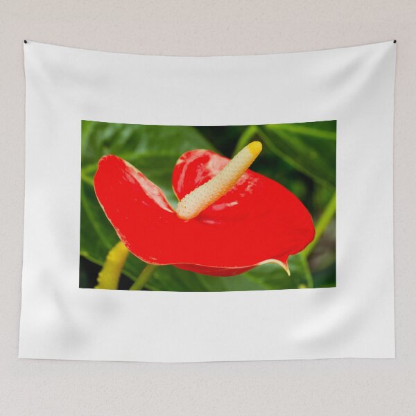 Item preview, Anthurium designed and sold by Thaddeus Zajdowicz.
