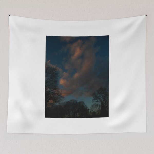 Item preview, January Sunset (1657) designed and sold by sensameleon.