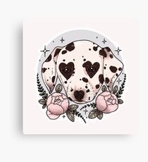 dalmatian dog Canvas Print