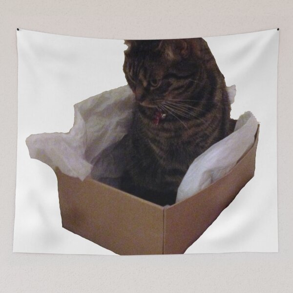 Item preview, Cat In A Box designed and sold by jeremydwilliams.