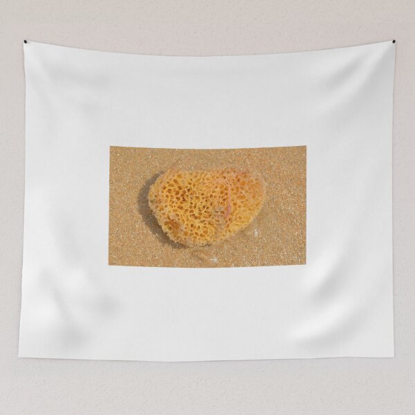 Item preview, SEA SPONGE ON THE SAND designed and sold by kazaroodie.
