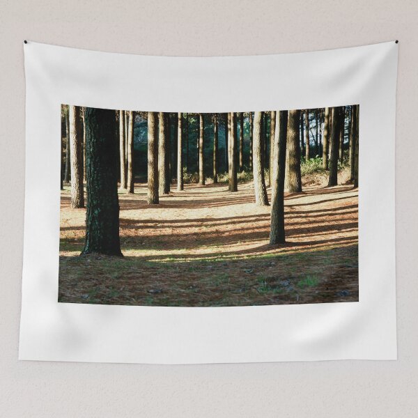 Item preview, Forest shadows. designed and sold by Brian Scantlebury.