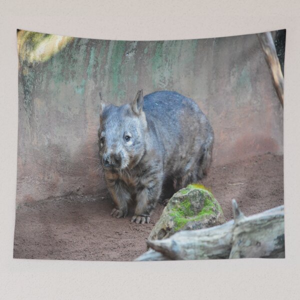 Item preview, Wombat designed and sold by JoBling.