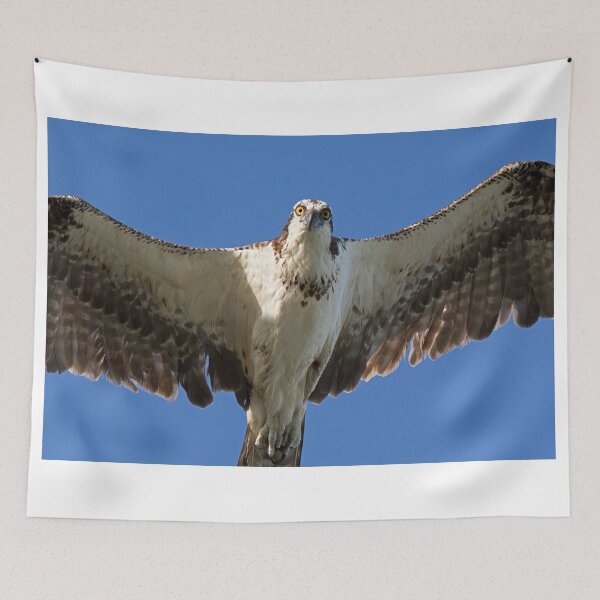 Item preview, Osprey in Flight designed and sold by WorldDesign.