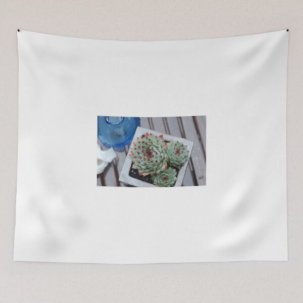 Item preview, Rainy Day Succulent designed and sold by Caroline Amanda.