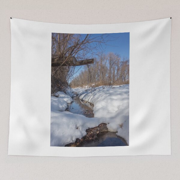 Item preview, Stream on a winter day designed and sold by CSSphotos.
