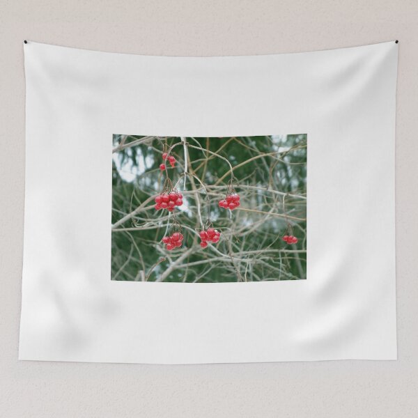 Item preview, Winter Fruit  designed and sold by Robert Meyers-Lussier.