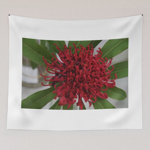 Item preview, Waratah 1 designed and sold by Jaycee2009.
