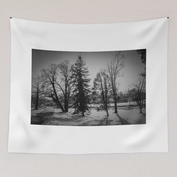 Item preview, Dramatic trees in the snow designed and sold by CSSphotos.
