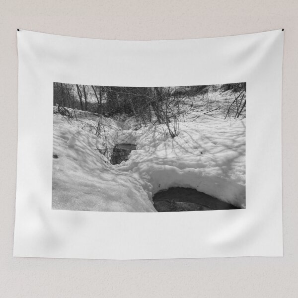 Item preview, Snowy Pond on a Winter Day designed and sold by CSSphotos.
