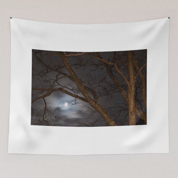 Item preview, Full Moon Rising - 1 ©  designed and sold by © Hany G. Jadaa © Prince John Photography.