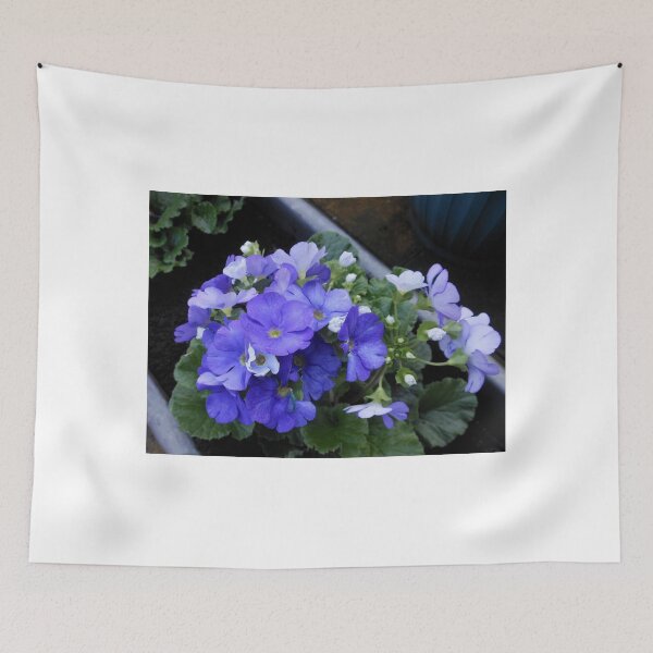 Item preview, Primula Doconica designed and sold by Kathryn Jones.