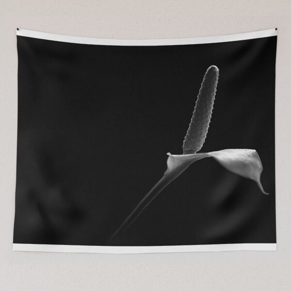 Item preview, Rhythm of an Anthurium designed and sold by lensbaby.