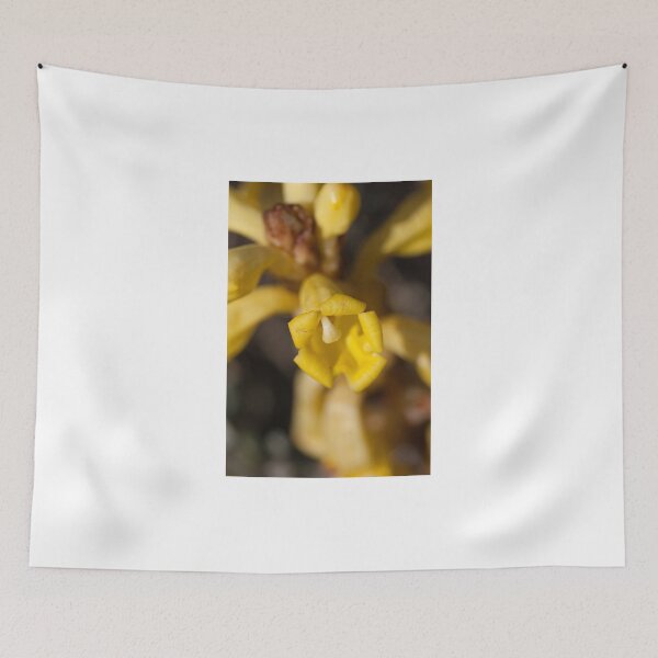 Item preview, Cistanche Phelypaea designed and sold by Antonio Pizarro Mendez.