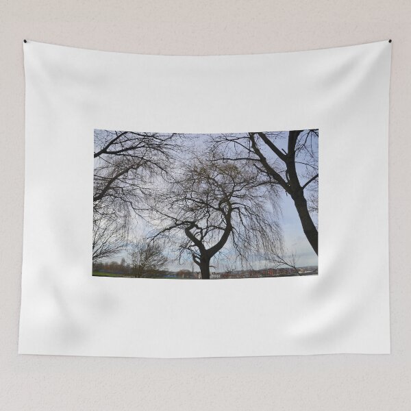 Item preview, Winter Trees at Exeter Quays, Devon UK designed and sold by lynn carter.