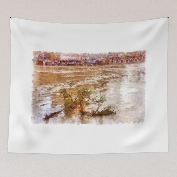 Item preview, Rome: Tiber River branch designed and sold by Giuseppe Cocco.