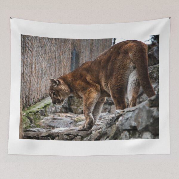 Item preview, Puma designed and sold by Srdjan Petrovic.