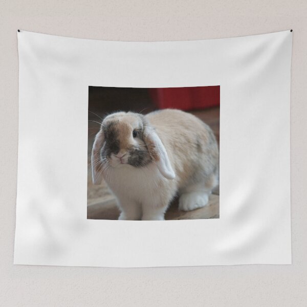 Item preview, Happy Rabbit designed and sold by ejrphotography.