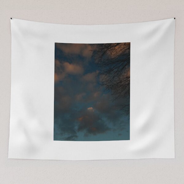 Item preview, January Sunset (1642) designed and sold by sensameleon.