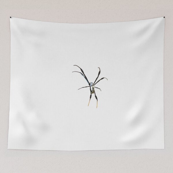 Item preview, golden orb weaver designed and sold by Snofpix.