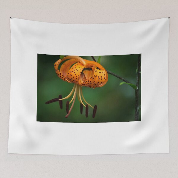 Item preview, Tiger Lilly disguised as a Leopard Lilly designed and sold by Clare Colins.