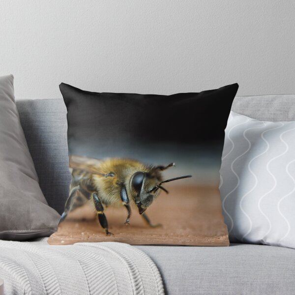Item preview, Curtsey designed and sold by Heather Haderly.