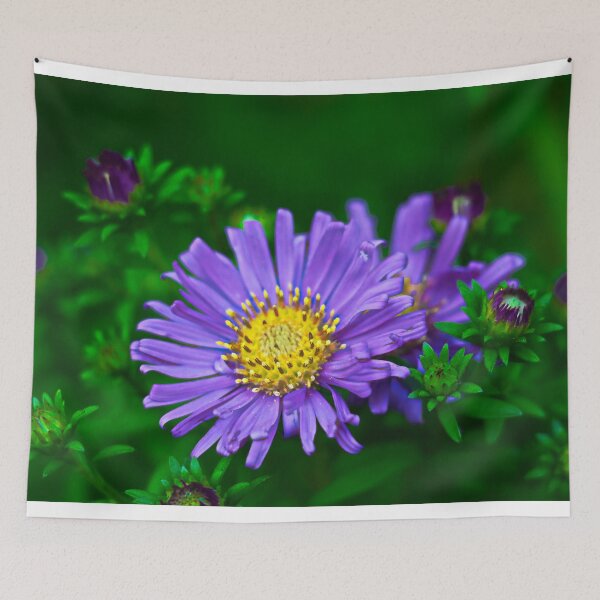 Item preview, Whiteflower Tansyaster Flower designed and sold by ADM  Photography.