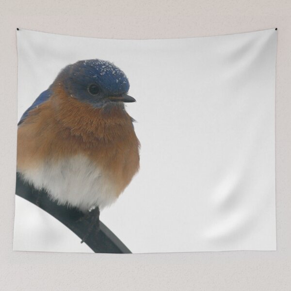 Item preview, Eastern Bluebird designed and sold by Enola Gay Wagner.