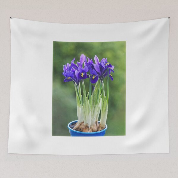 Item preview, Irises designed and sold by Dorset Girl.