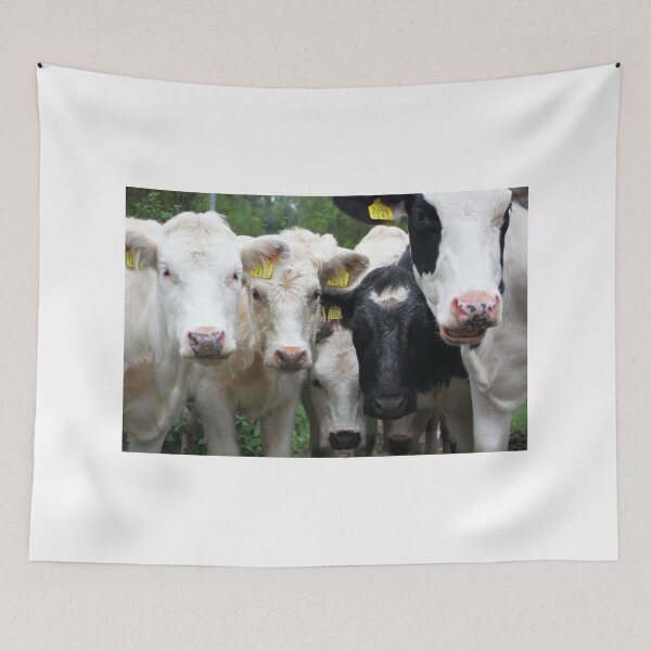 Item preview, Cow (How) Are You Today? designed and sold by Jo Nijenhuis.