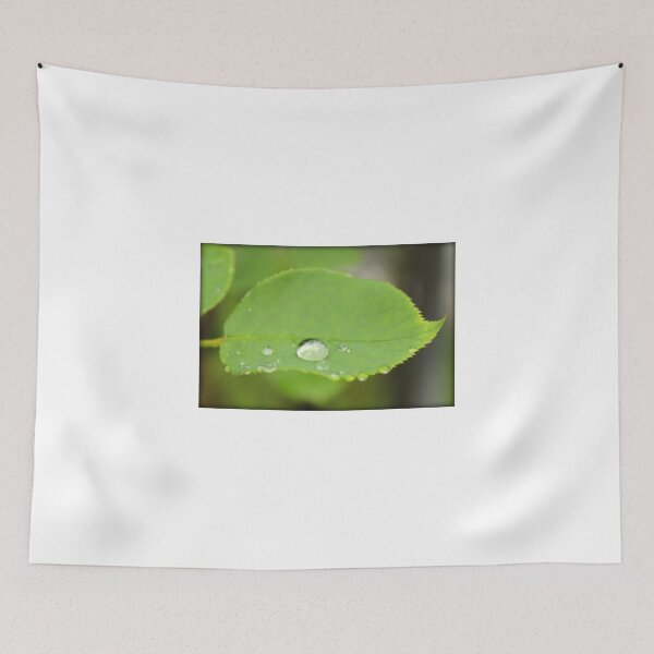 Item preview, Rain Drop on Leaf designed and sold by anitahiltz.