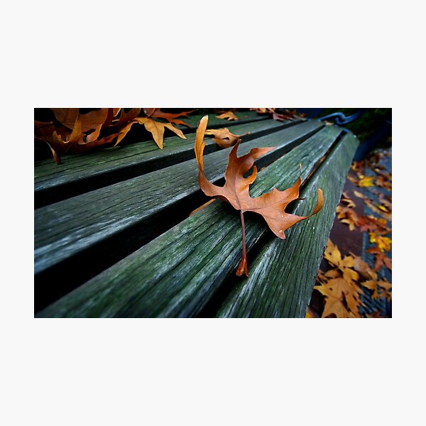 Item preview, Autumn Leaf designed and sold by berndt2.
