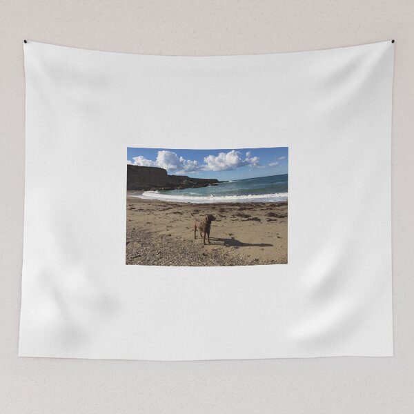 Item preview, Enjoying the View designed and sold by Adventurersyd.