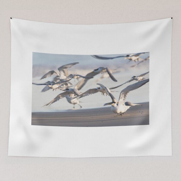 Item preview, Sunset Tern Landing designed and sold by byronbackyard.