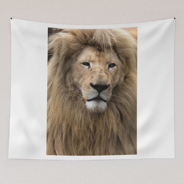 Item preview, Lion designed and sold by Srdjan Petrovic.