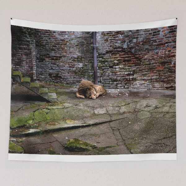 Item preview, Lion designed and sold by Srdjan Petrovic.
