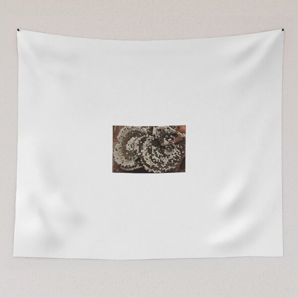 Item preview, Fractal Theory Demonstrated  designed and sold by Rusty Gentry.